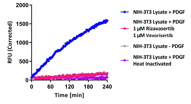 AKT1.2.3 full time course nih3t3